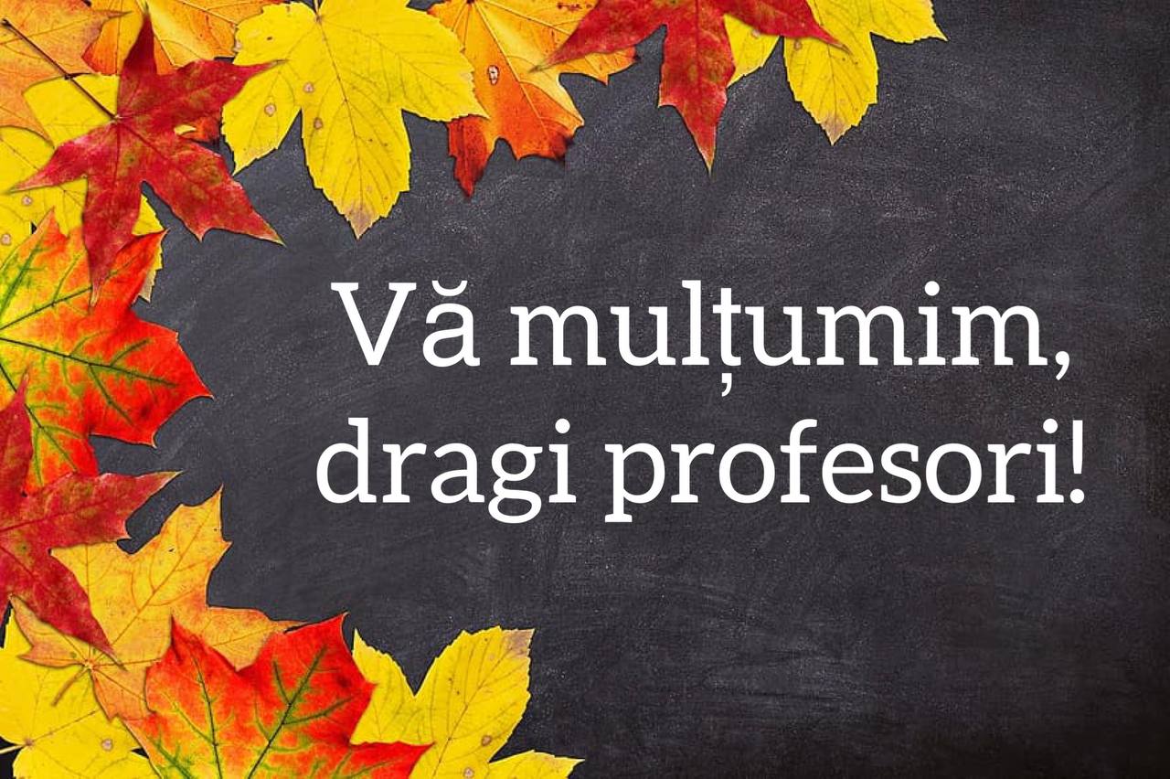 Ziua Pedagogului