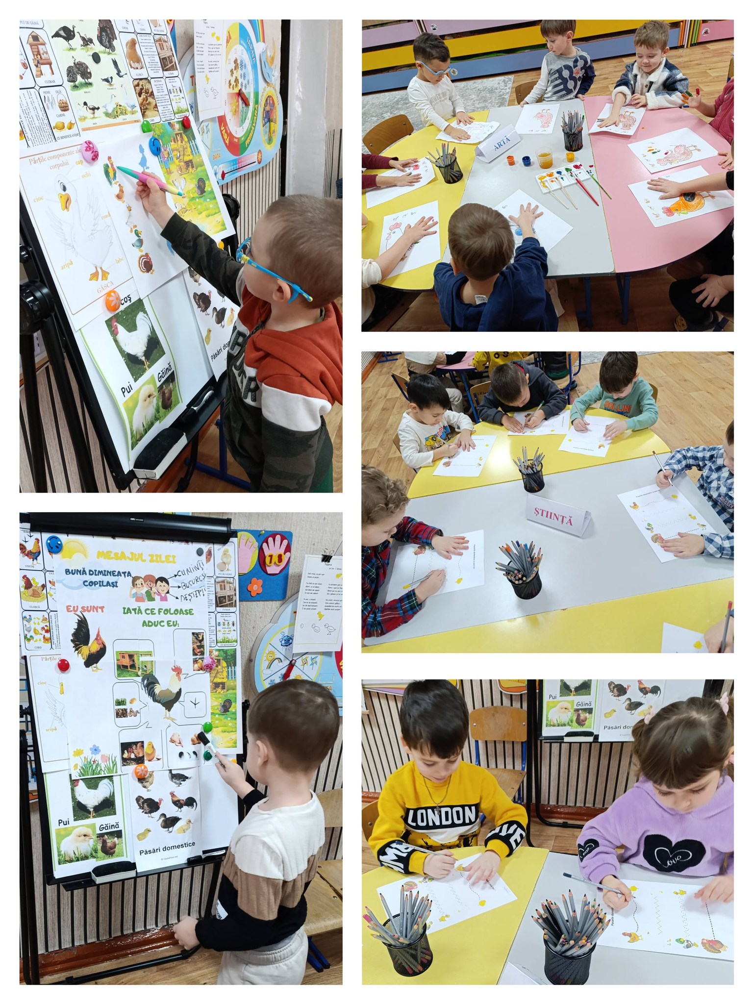 Grupa medie nr. 6 «Curcubeu»